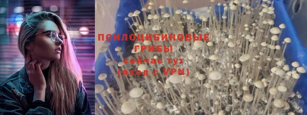 меф Арсеньев