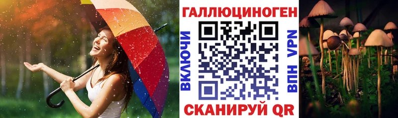 Галлюциногенные грибы мицелий  Судак 